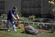 An electric mulching mower.