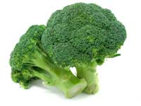 Broccoli after harvest.