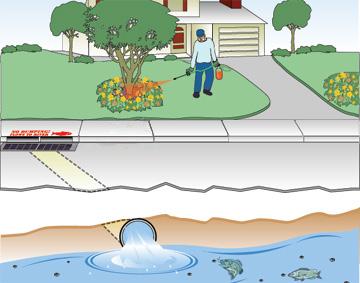 Limit pesticide use to protect water quality.